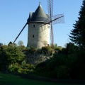CIMG4239