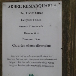 Randonnées des grands Chênes