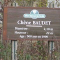 9.2 Chêne Baudet