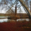 DSCN5718