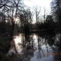 DSCN5724