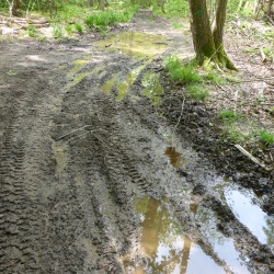 121_Magny-Villarceaux (95)