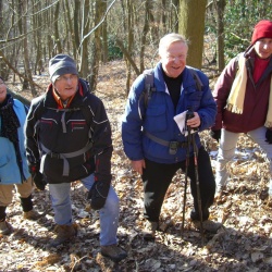Forêt de Verrières fév 2012