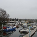 DSC02367