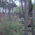 CIMG4686