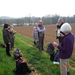 La Ferté Alais_Itteville