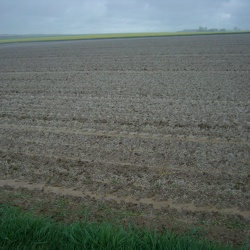 Milly la Forêt-Buno Bonnevaux