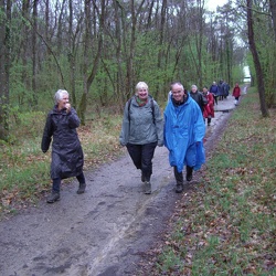 Milly la Forêt-Buno Bonnevaux