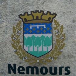 Nemours forêt de la Commanderie