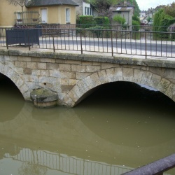 Nemours forêt de la Commanderie
