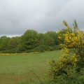 DSC02681
