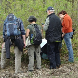 Forêt Rambouillet Clairefontaine