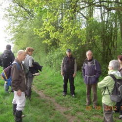 Forêt Rambouillet Clairefontaine