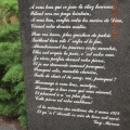 DSCN7390