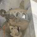DSCN7430