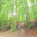 DSCN7559