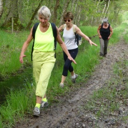 122_La Celle les Bordes (78) 28 mai 16
