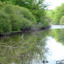 93_autour de Rambouilllet (78) 30 mai 15