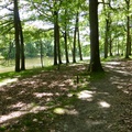 P1020001