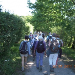 Forêt Rambouillet_étangs de Hollande