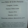 CIMG3412