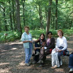 Avant Un Pied Devant L'autre