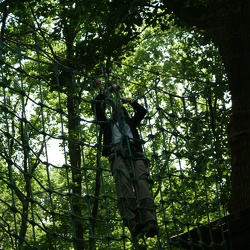 Avant Un Pied Devant L'autre