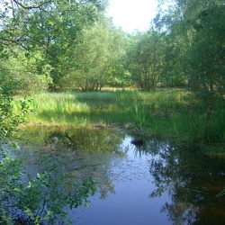 Bourron-Marlotte