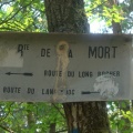 CIMG3319