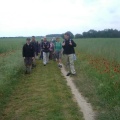 Dans les champs vers la grange des bois (91)
