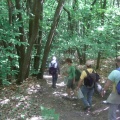 Petite descente en sous bois
