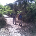 Photo0037