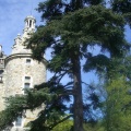 18_dans le parc du château