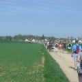 37_sont fous de marcher tous le même jour