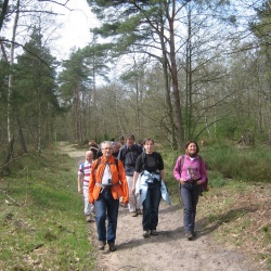 St Arnoult - Sonchamp