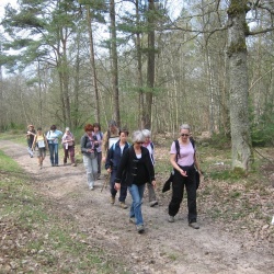 St Arnoult - Sonchamp