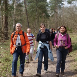 St Arnoult - Sonchamp