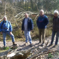 Le saut du postillon