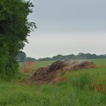 P1040028