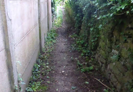 Camp César et bois de La Coharde (60)