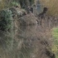 DSCN3618.JPG