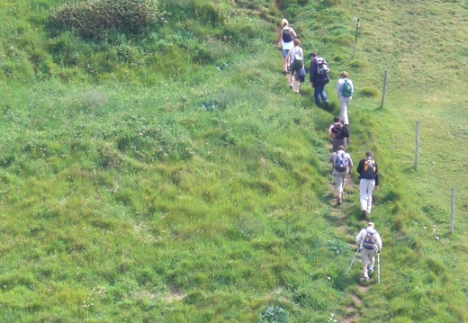 CIMG1944 dans la valleuse d'Etigue côte d'Albâtre
