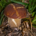 CIMG6590