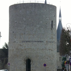 Forêt de St Arnoult-Dourdan