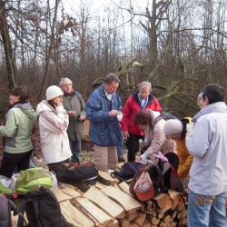 25- 15/01/2011 Saint Germain