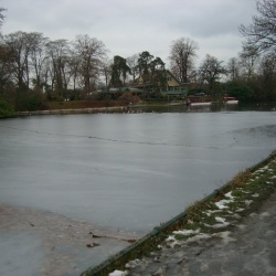 Bois de Boulogne 11 déc 2010