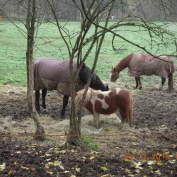 23_ Camp de Satory