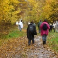 Rando sous la pluie dans l'Oise