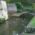 Place des colverts sur l'Yvette Chevreuse