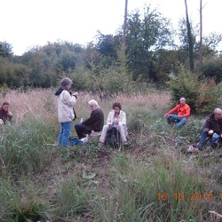 19_ Forêt Compiègne étgs St Pierre
